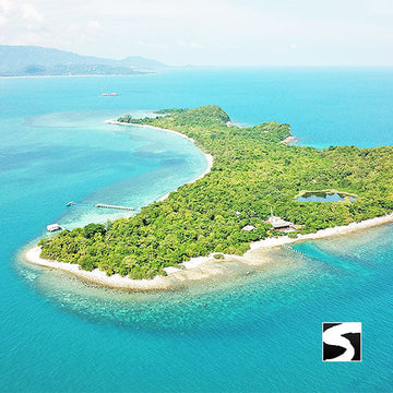 Cruise Ship Tour Pink Dolphins Khanom - kohsamui.tours